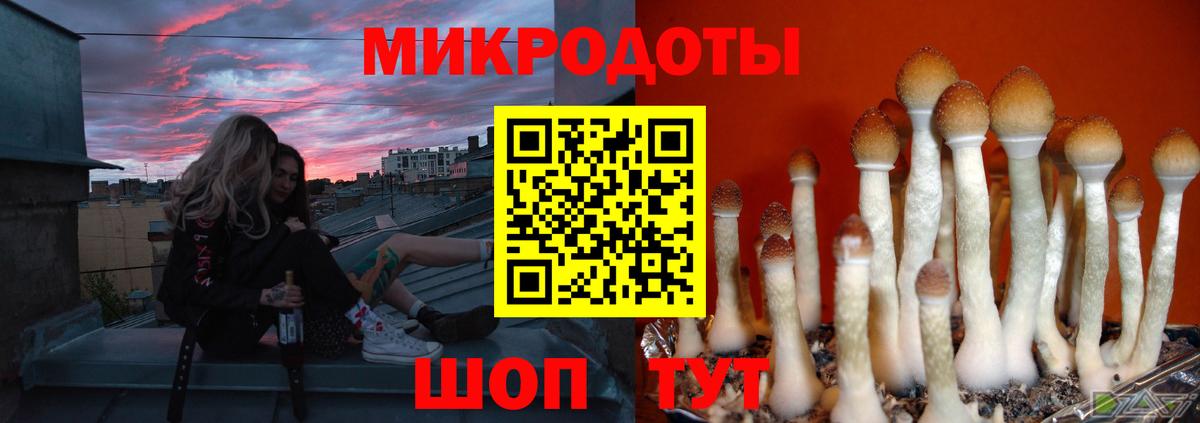 Галлюциногенные грибы GOLDEN TEACHER  Вход с VPN  Дмитров  Псилоцибиновые грибы Psilocybine cubensis 